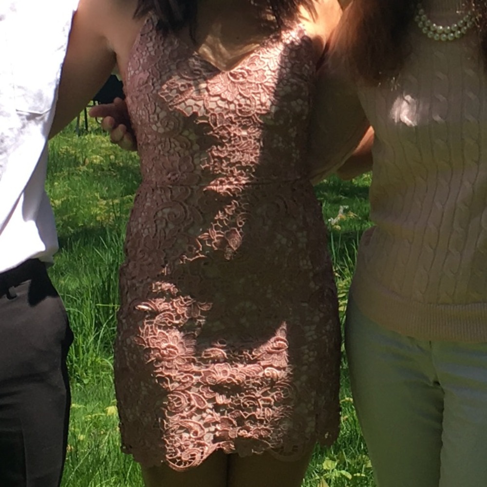 Express bodycon pink lace dress size 0 - Picture 4 of 4